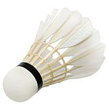 Волани для бадмінтону перові 6 шт. у тубусі TELOON TB3600, фото 4