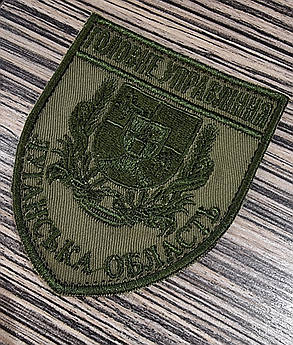 Шеврон "Головне Управління, Луганська область" 70х85мм (Польовий), фото 4