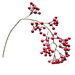 Ветка с ягодами красная 80 см, фото 3