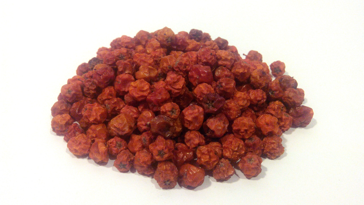 Горобина звичайна плоди (Горобина червона), фото 1