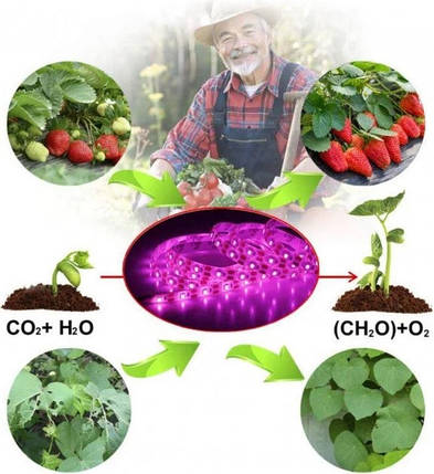 Фітоленти для рослин 120 LED IP65 USB 5В (100), фото 2