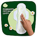 Гігієнічні прокладки ароматизовані Naturella Classic Camomile Нічні Single 7 шт.(Натурелла), фото 4