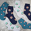 Шкарпетки махрові 6 пар «Пінгвіни» жіночі зимові розмір 36-40  арт. 152.6, фото 3