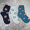 Шкарпетки махрові 6 пар «Пінгвіни» жіночі зимові розмір 36-40  арт. 152.6, фото 4
