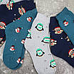 Шкарпетки махрові 6 пар «Пінгвіни» жіночі зимові розмір 36-40  арт. 152.6, фото 5