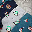 Шкарпетки махрові 6 пар «Пінгвіни» жіночі зимові розмір 36-40  арт. 152.6, фото 8