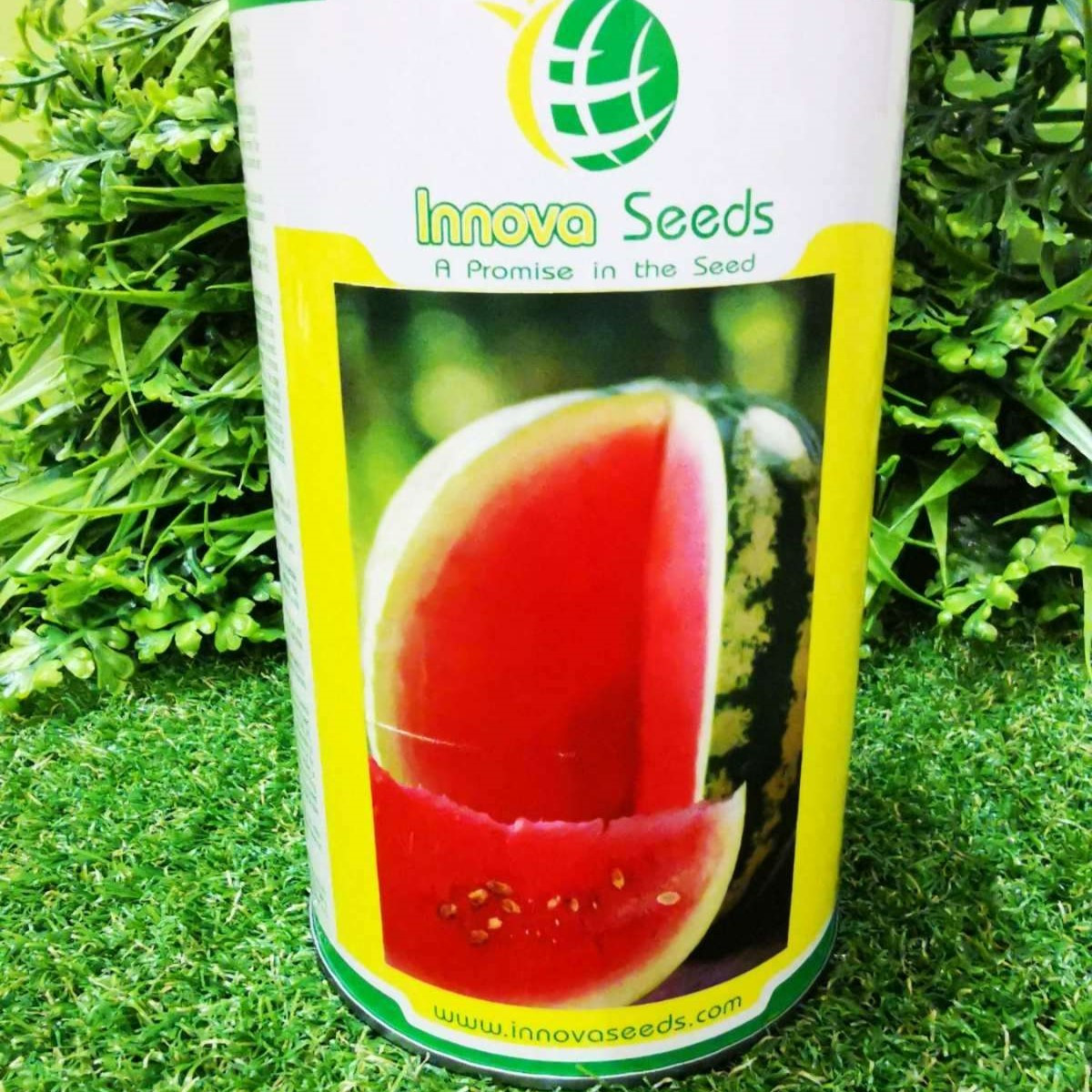Ау Продюсер насіння кавуна (500 г) Innova Seeds