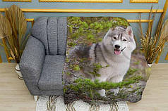 Плед «Хаскі у лісі. Husky in the forest»