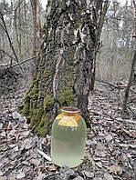 Сік березовий консервований з цукром з дольками апельсину та лимону. Ціна за 3л (Ф1444)