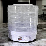 Сушарка для овочів і фруктів ZepLine 800 Вт дегідратор для сушіння м'яса на 5 секцій електросушарка зіплайн, фото 2