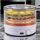 Сушарка для овочів і фруктів ZepLine 800 Вт дегідратор для сушіння м'яса на 5 секцій електросушарка зіплайн, фото 6