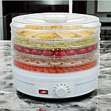 Сушарка для овочів і фруктів ZepLine 800 Вт дегідратор для сушіння м'яса на 5 секцій електросушарка зіплайн, фото 5