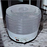 Сушарка для овочів і фруктів ZepLine 800 Вт дегідратор для сушіння м'яса на 5 секцій електросушарка зіплайн, фото 3