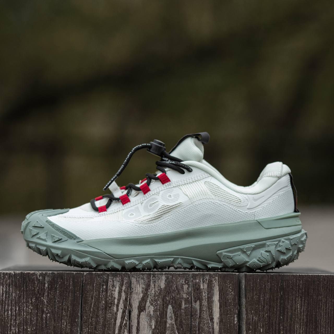 Чоловічі кросівки демі Nike ACG Mountain Fly 2 GTX Phantom Light Silver (світло-сірі) стильні1927 Найк vkross