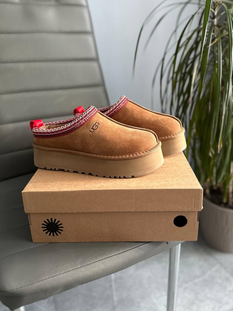 Жіночі уггі-шльопанці UGG Tasman Platform Chestnut (бежеві) модні зимові капці 971 Уги vkross, фото 1