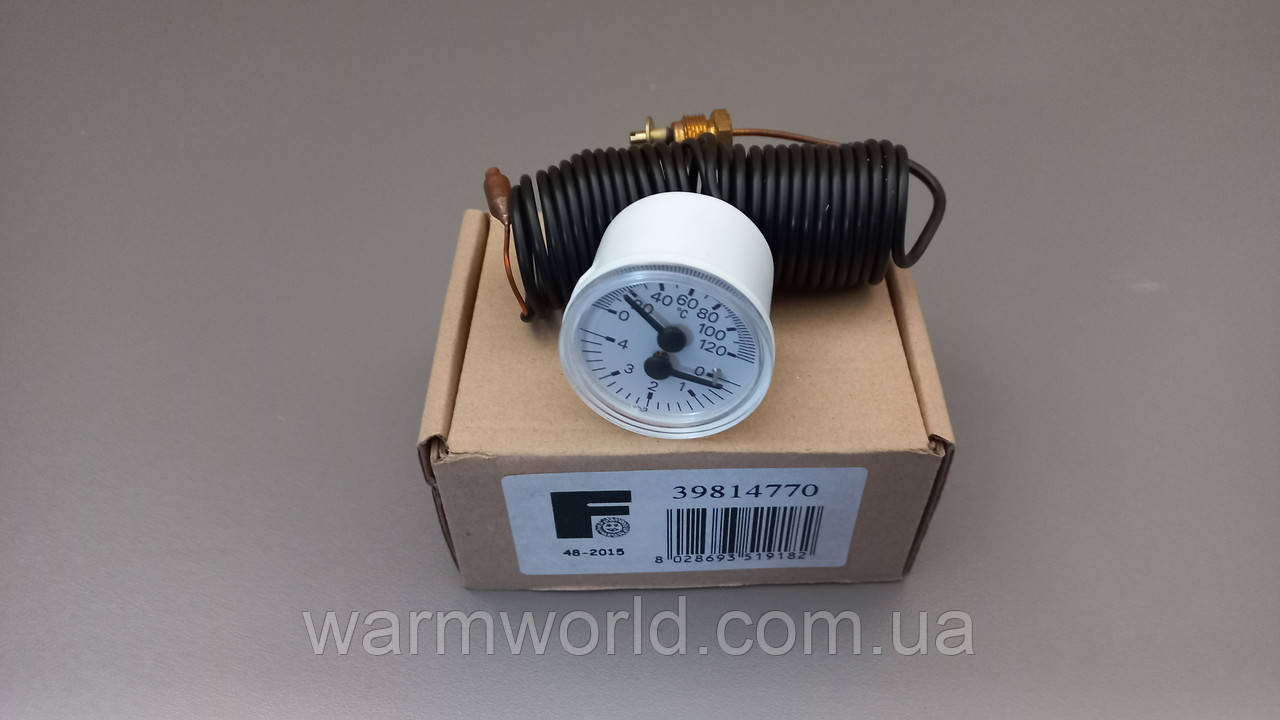 39814770 ТермоМанометр Pegasus Ferroli, фото 1