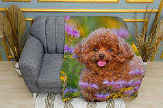 Плед «Пудель у полі квітів. Poodle in a field of flowers»