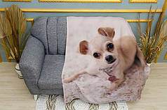 Плед «Чіхуахуа на білій ковдрі. Chihuahua on a white carpet»
