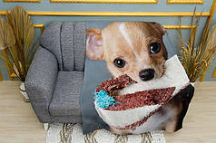 Плед «Чіхуахуа з капцем. Chihuahua with a slipper»