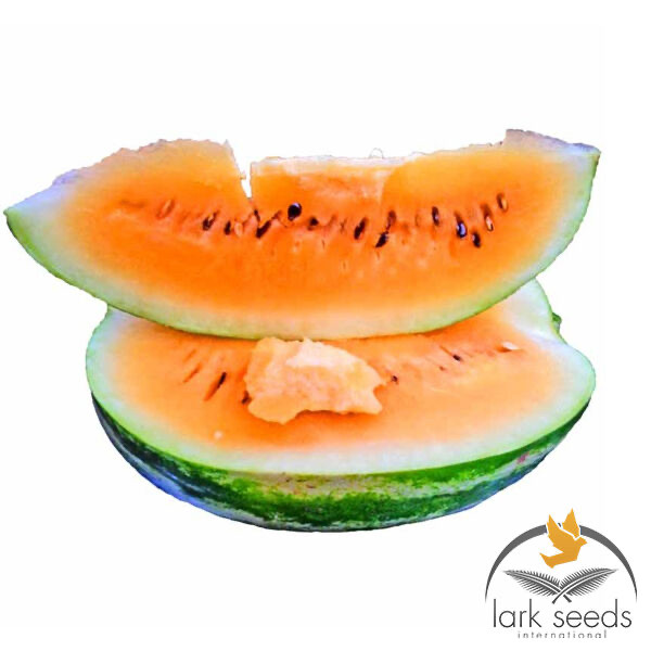 Кавун Оранж лакшері F1 Lark seeds 5 насінин