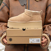 Зимові Жіночі Черевики UGG Classic Ultra Mini Platform Beige / УГГ Класик Ультра Міні Платформ Бежеві, фото 4