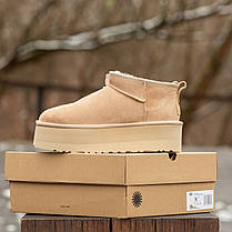Зимові Жіночі Черевики UGG Classic Ultra Mini Platform Beige / УГГ Класик Ультра Міні Платформ Бежеві, фото 5