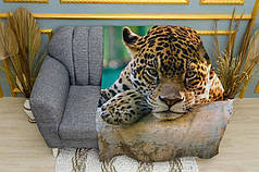 Плед «Відпочиваючий леопард. A resting leopard»