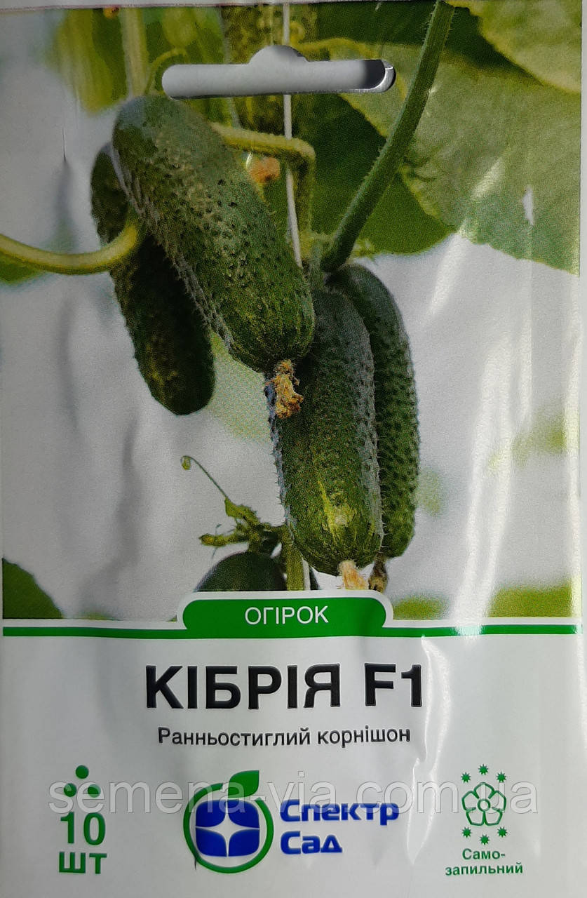 Огірок Кібрія F1 (10 нас.) (Голандія) ТМ Спектр Сад