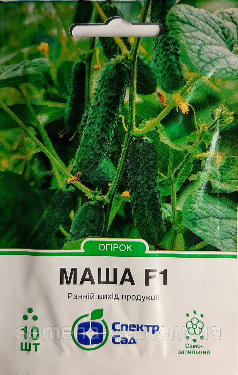 Огірок Маша F1 (10 нас.) (Голандія) ТМ Спектр Сад, фото 1