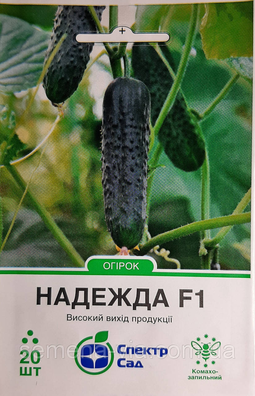 Огірок Надія F1 (10 нас.) Голандія ТМ Спектр Сад