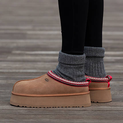 Зимові Жіночі Черевики UGG Tasman Platform Chestnut Brown / УГГ Тасман Платформ Чеснат Коричневі, фото 1