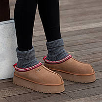 Зимові Жіночі Черевики UGG Tasman Platform Chestnut Brown / УГГ Тасман Платформ Чеснат Коричневі, фото 6