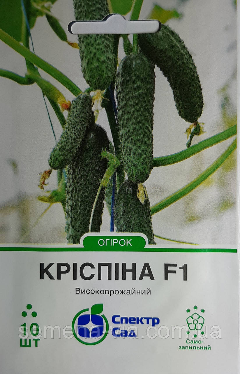 Огірок Кріспіна F1 (10 насінин) (Голландия) Семена ВИА