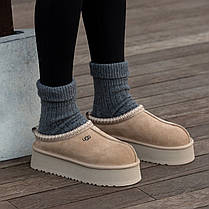 Зимові Жіночі Черевики UGG Tasman Platform Beige / УГГ Тасман Платформ Бежеві, фото 6