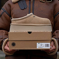 Зимові Жіночі Черевики UGG Tasman Platform Beige / УГГ Тасман Платформ Бежеві, фото 3