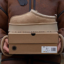 Зимові Жіночі Черевики UGG Tasman Platform Beige / УГГ Тасман Платформ Бежеві, фото 5