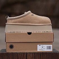 Зимові Жіночі Черевики UGG Tasman Platform Beige / УГГ Тасман Платформ Бежеві, фото 4