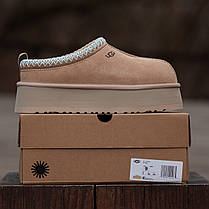 Зимові Жіночі Черевики UGG Tasman Platform Sand Beige / УГГ Тасман Платформ Сенд Бежеві, фото 4