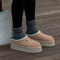 Зимові Жіночі Черевики UGG Tasman Platform Sand Beige / УГГ Тасман Платформ Сенд Бежеві, фото 6
