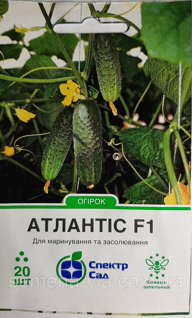 Огірок Атлантіс F1 (20 нас) (Голандія) ТМ Спектр Сад