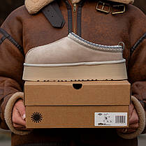Зимові Жіночі Черевики UGG Tasman Platform Sweet Beige / УГГ Тасман Платформ Світ Бежеві, фото 5