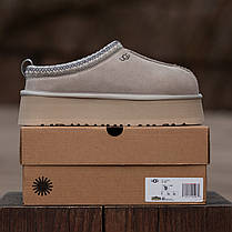 Зимові Жіночі Черевики UGG Tasman Platform Sweet Beige / УГГ Тасман Платформ Світ Бежеві, фото 4