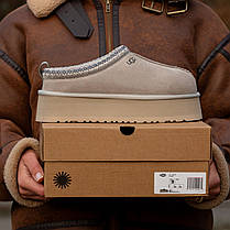 Зимові Жіночі Черевики UGG Tasman Platform Sweet Beige / УГГ Тасман Платформ Світ Бежеві, фото 3