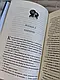 Набір книг "Гудзики та сором" Книга 4,"Гудзики та провина" Книга 5 Пенелопа Скай, фото 10