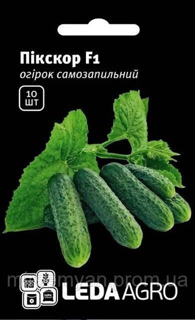 Огірок Пікскор/Pickscore F1, 10н. L  Nunhems, фото 1