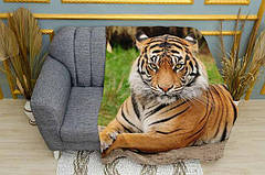 Пледи з тигром