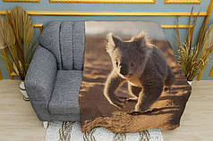 Плед «Коала в пустелі. Koala in the desert»