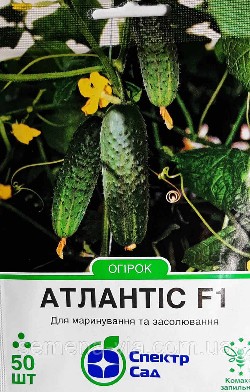 Огірок Атлантіс F1 (50 нас) (Голандія) ТМ Спектр Сад