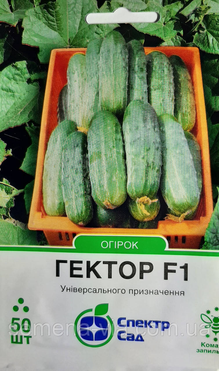 Насіння огірків Гектор F1 (50 шт.) (Голандія)