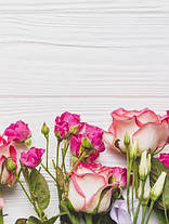 Плед «Рожеві троянди. Pink roses», фото 2